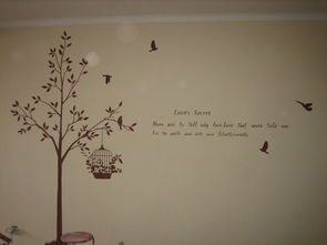 兰舍树系列LS S硅藻泥 价格、图片与品牌全解析